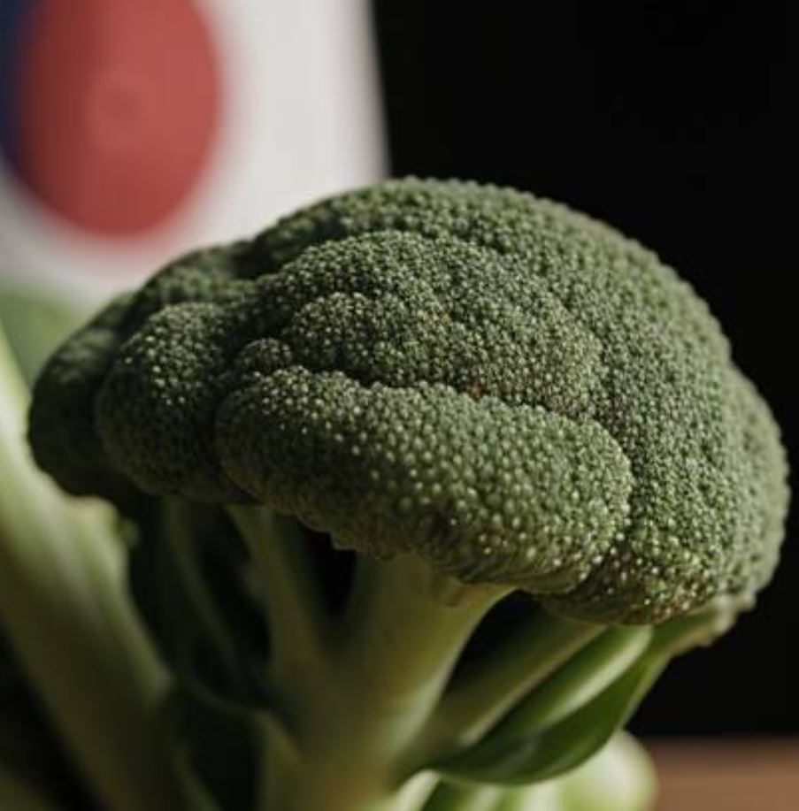IQF Broccoli Korea